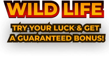 Wild Life Mobile Title