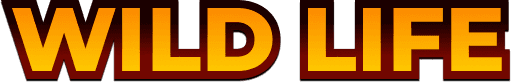 Wild Life Title
